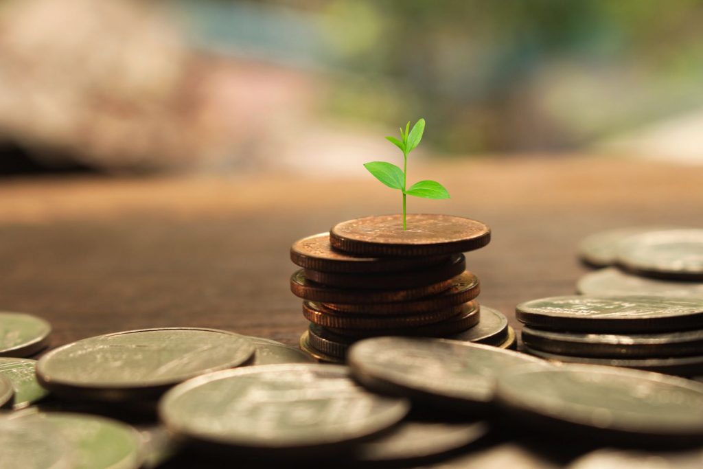 投资孵化支持 助力精专特新初创企业成功